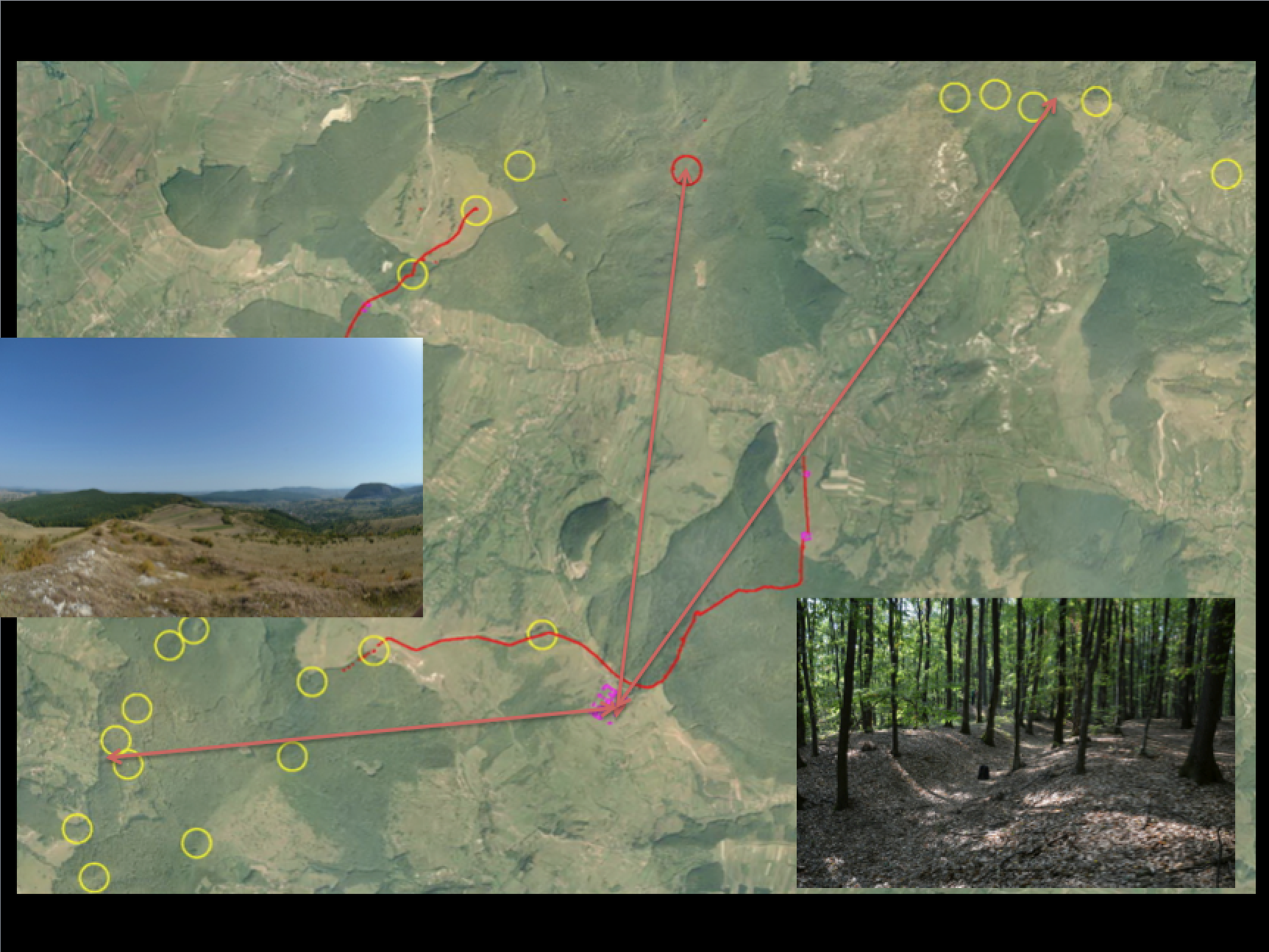 Fig. 4. Cele doua linii de granita din zona Porolissum. Distante intre castrul de la Porolissum si turnurile de observatie arondate. Detalii de imagine de pe <i><i>limes</i></i>-ul de NV.