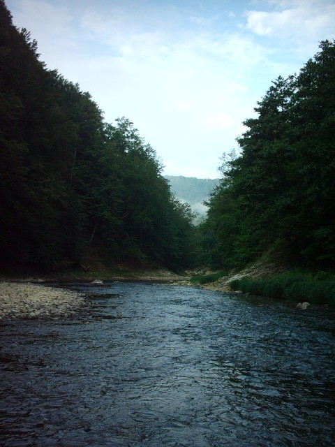 IMAG1354.JPG