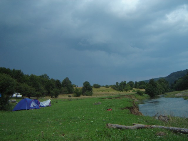 C1DSC2818-Nori grei 1.JPG