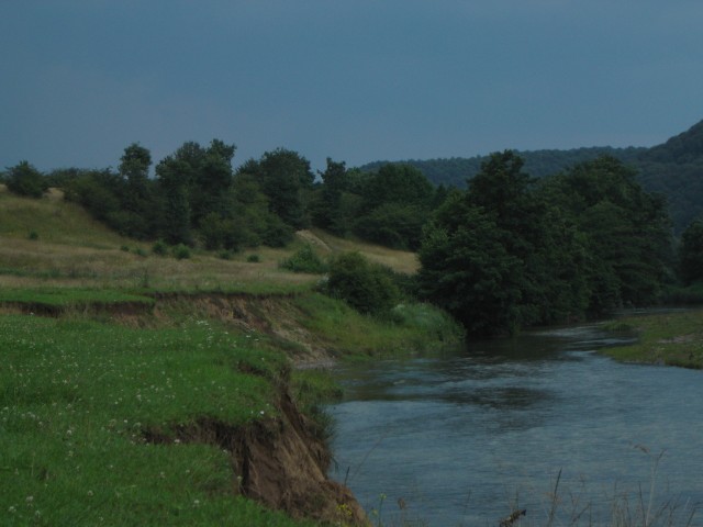 C1DSC2821-Nori grei 2.JPG