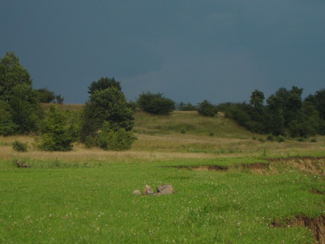 C1DSC2822-Nori grei 3.JPG
