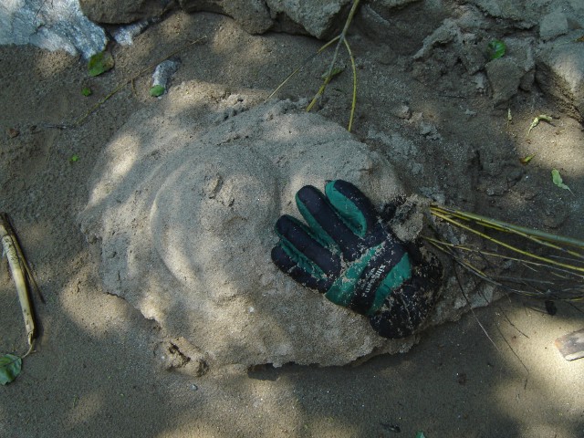 C1DSC2936-Arta in nisip.JPG