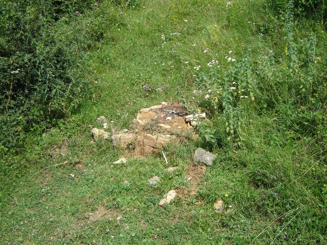 C1DSC05188-Ce a ramas din cuptor.JPG