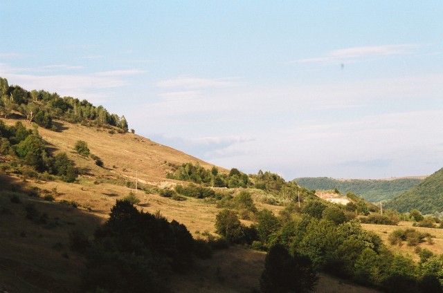 95700008.JPG
