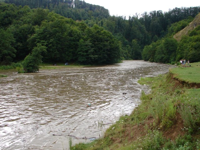 Gunoaie venind pe rau (2)