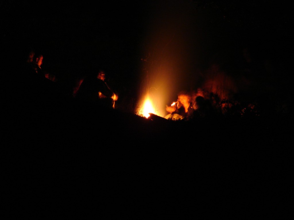 La foc (1)