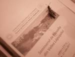 Highlight for Album: Lapus 2011 - poze Florina