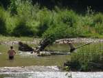 20110715_H1_DSC04580.jpg